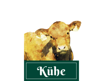 Kühe