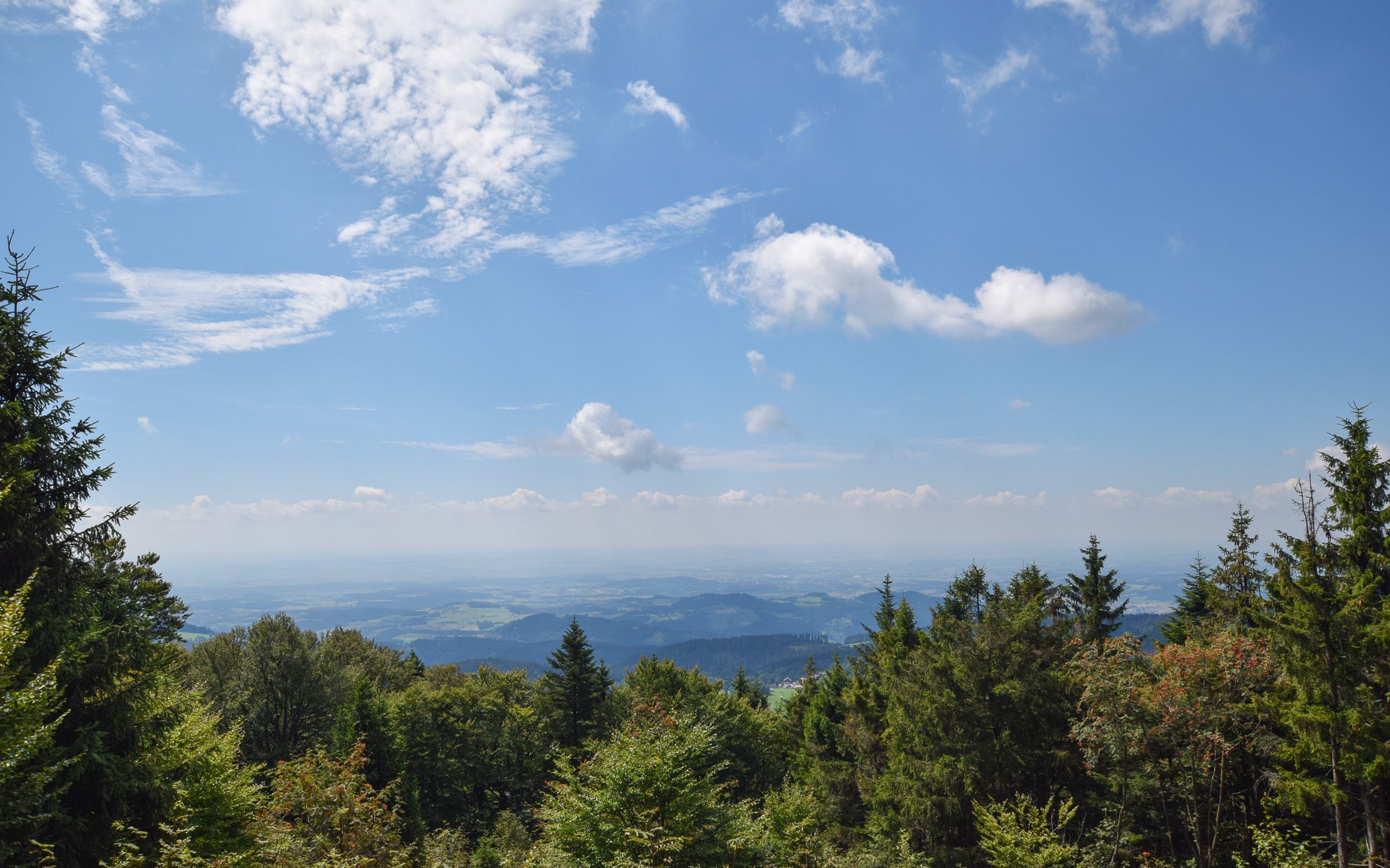 Aussicht vom Knogl