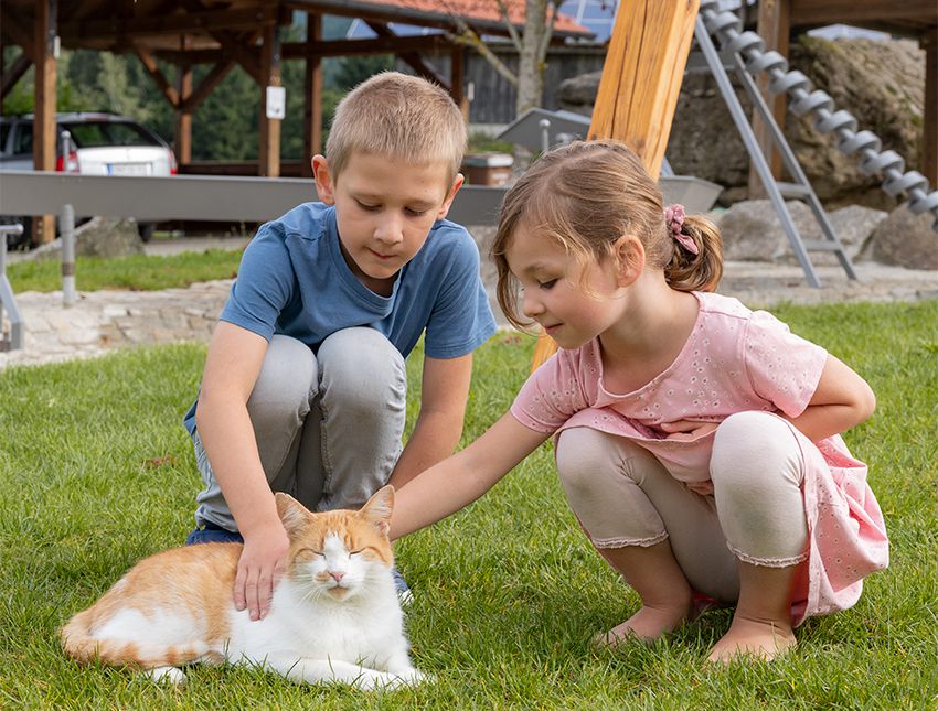 Kinder streicheln Katze