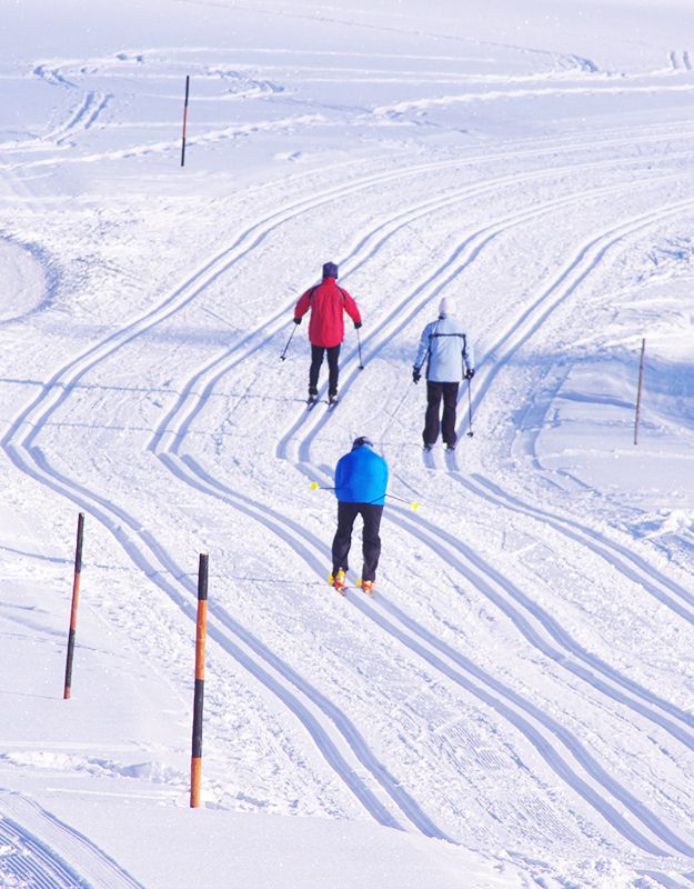 Skifahren in St. Englmar