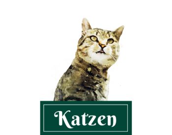 Katzen