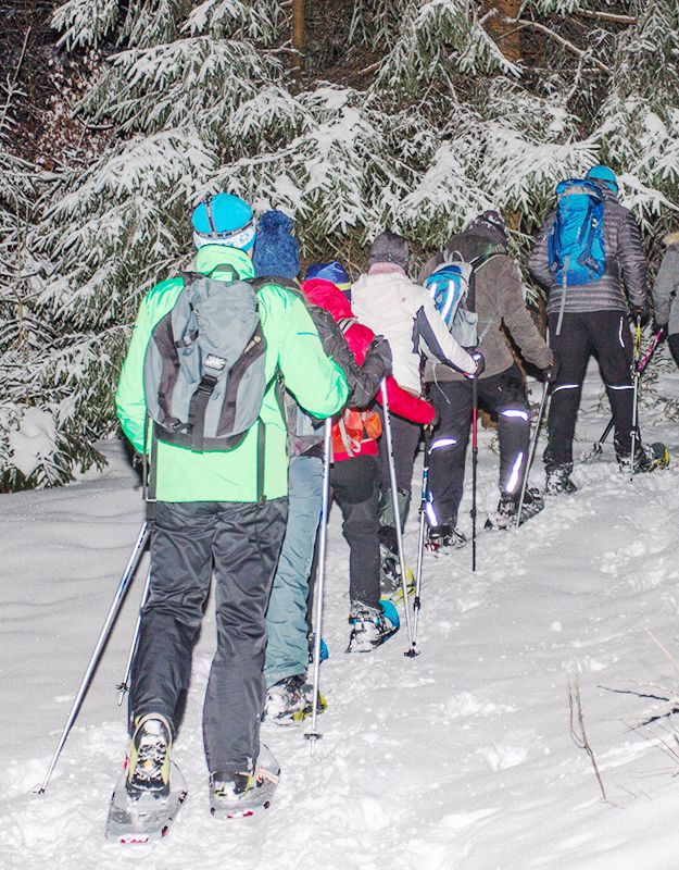 Wanderung mit Schneeschuhen